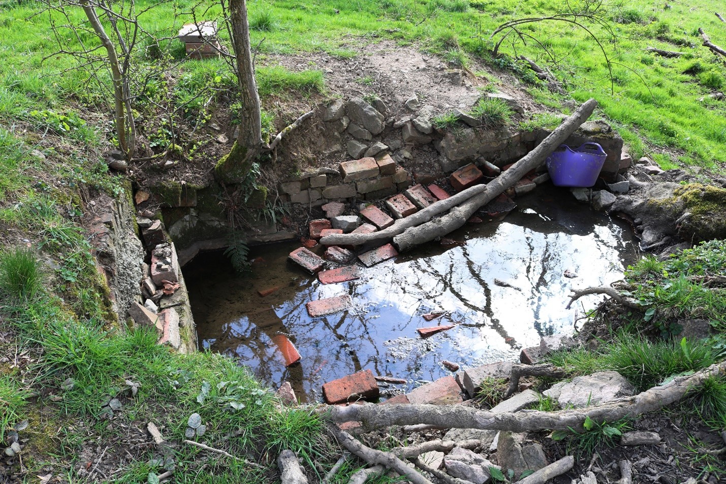 The Discovery of Ash Tree Pool malvern spa association