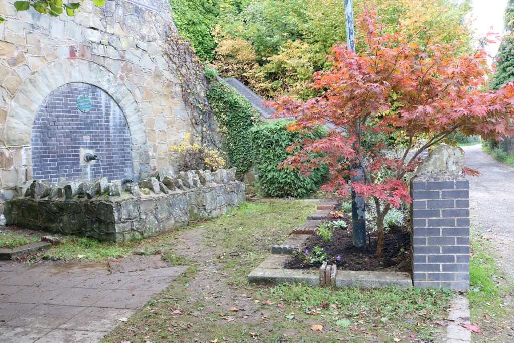 Rose Gully after Balens’ volunteers tidied up