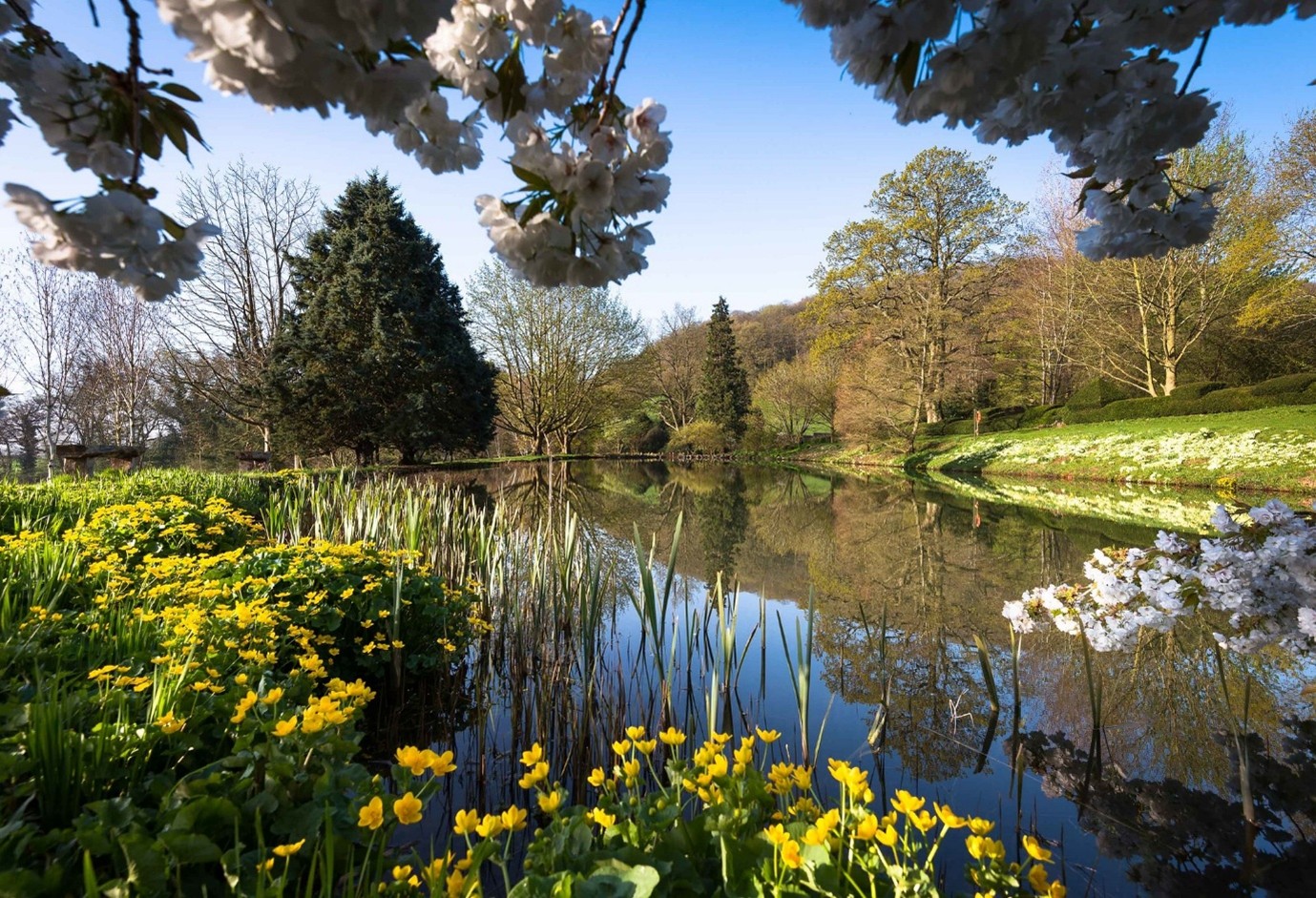 Little Malvern Court gardens
