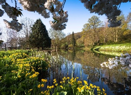 Malvern Spa Association card I - gardens at Little Malvern Court