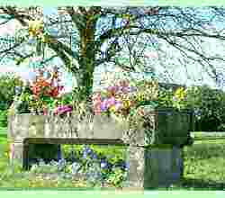 Barnards Green Trough 2002
