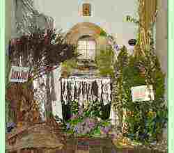 Holywell 2002