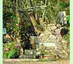 Westminster Bank spout 2002