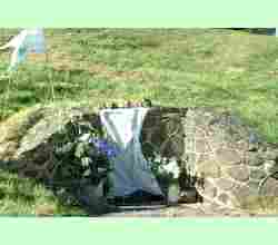 Willow Spring 2002