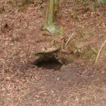 Eye Well, Malvern Hills