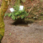 Eye Well, Malvern Hills decorated 2004