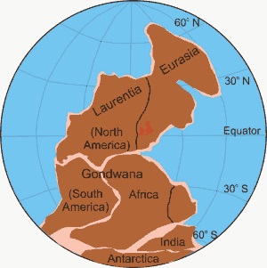 Figure Twelve. Position of the continents during the Carboniferous (302 million years). Gondwana and Laurasia have "welded" together to form the super continent of Pangaea.