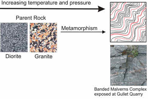 Figure Three. High temperatures and pressures caused by tectonic activity has modified or "metamorphosed" the Malverns Complex. Many of the rocks exposed in the Southern end of the hills exhibit a banded or layered texture.