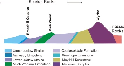 Figure Nine. Cross Section illustrating Silurian Strata from Wyche Cutting to Brockhill Coppice.