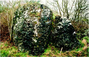 Photograph Two. Microdiorite Dyke, located near the Wyche Cutting, Malvern Hills.