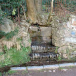 Westminster Bank Spring