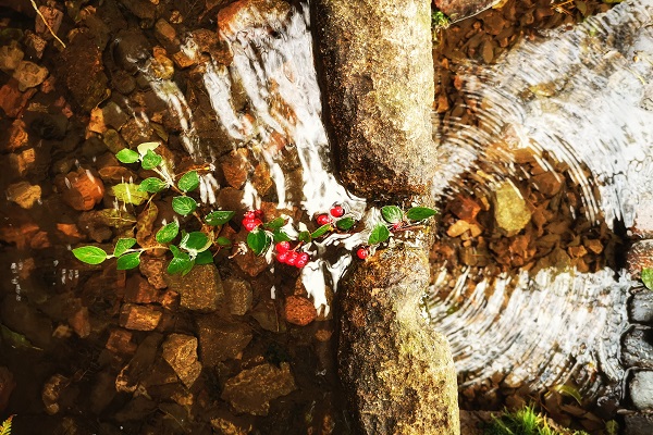 Explore Malvern's water heritage