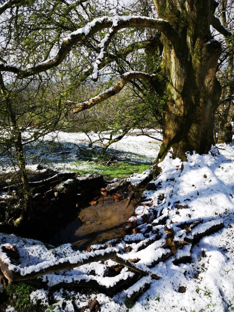 Ash Tree Pool in winter - photograph by Jan Sedlacek @digitlight 
