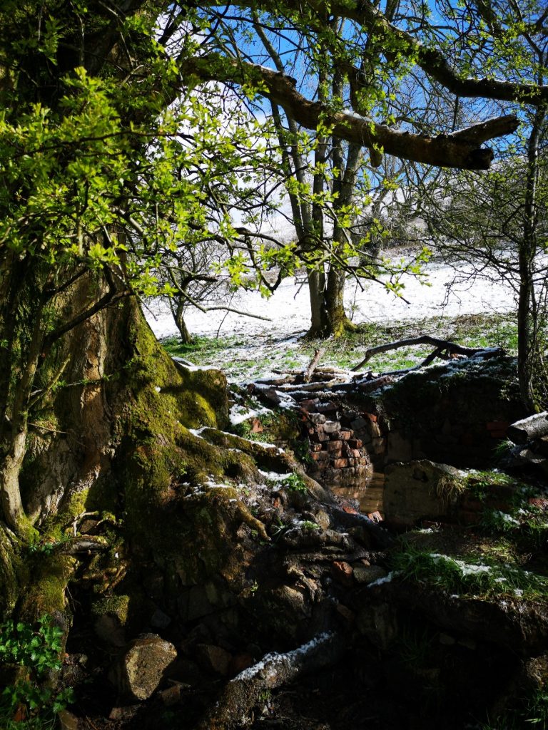 Ash Tree Pool in winter - looking up the hill. Photograph by Jan Sedlacek @digitlight
