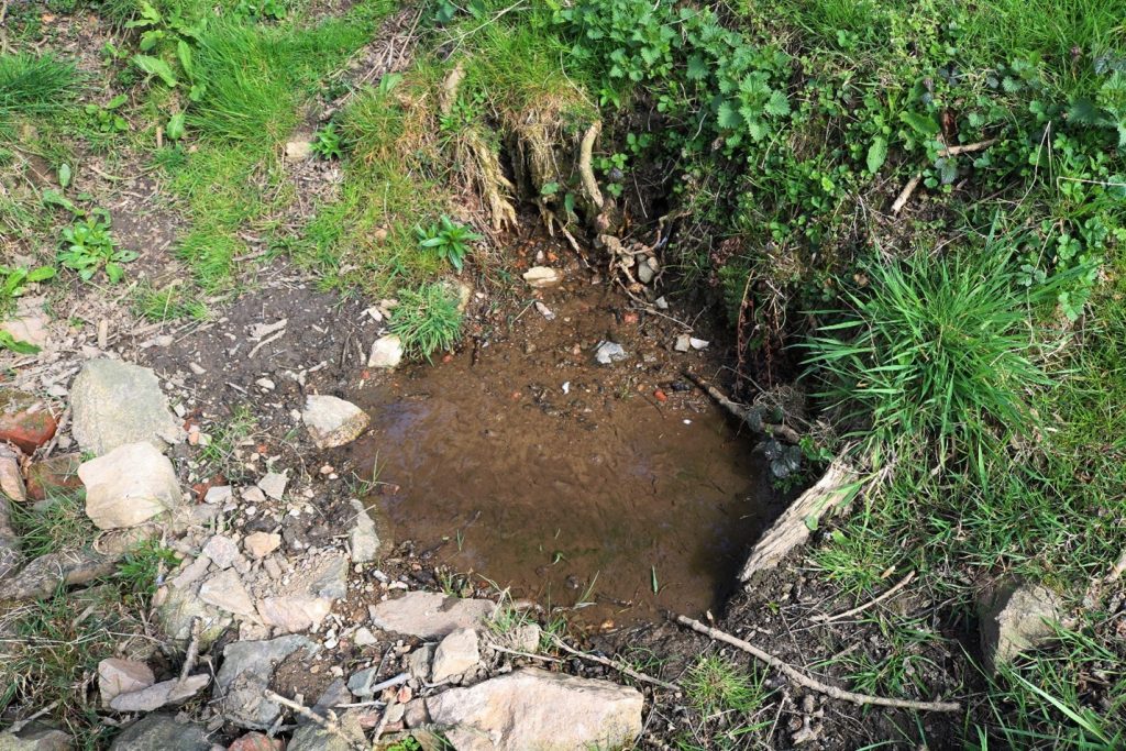 Another small temporary pool near Ash Tree Pool