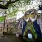 Malvhina well, on Belle Vue Island Great Malvern, decorated with a large owl