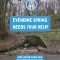 Evendine Spring Needs Your Help