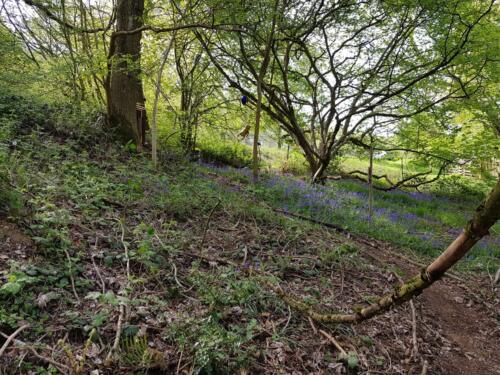 Gardiners-Common-Spring-2022.09-Rick.B