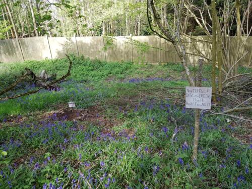 Gardiners-Common-Spring-2022.13-Rick.B